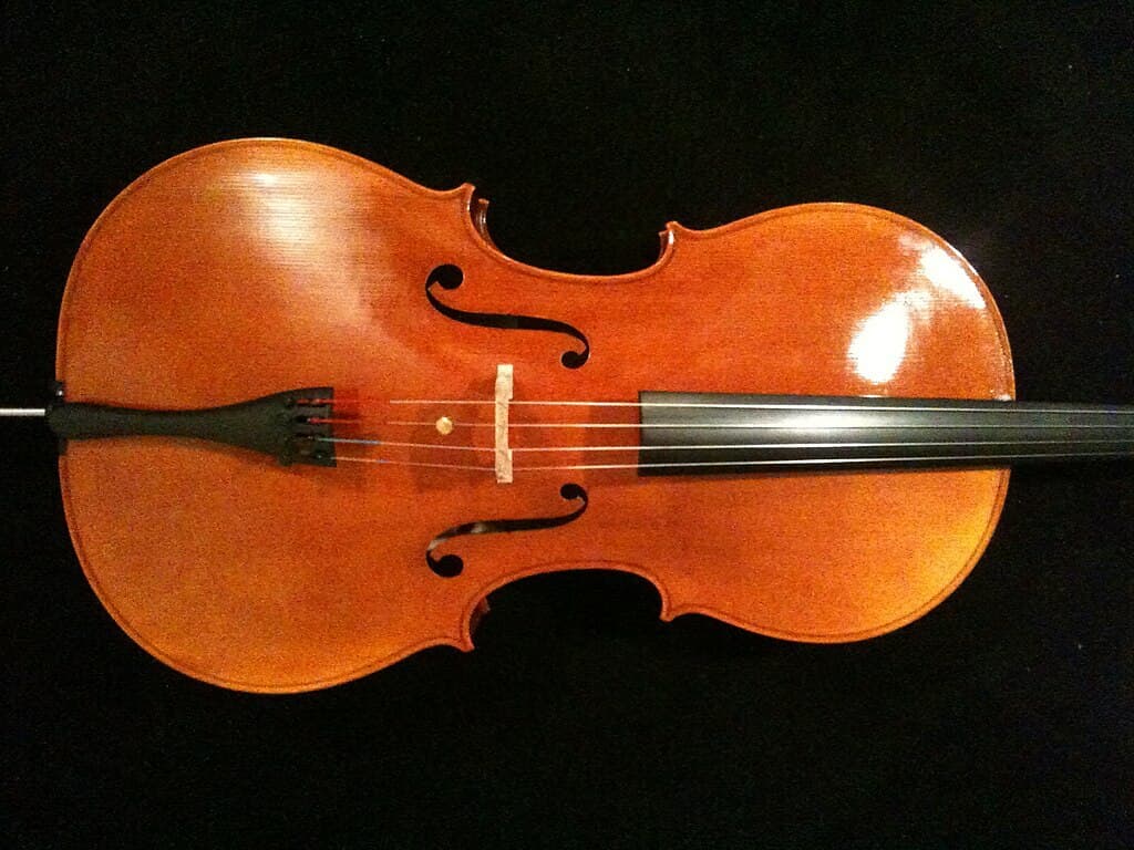 Body of a brown cello on it's side.
