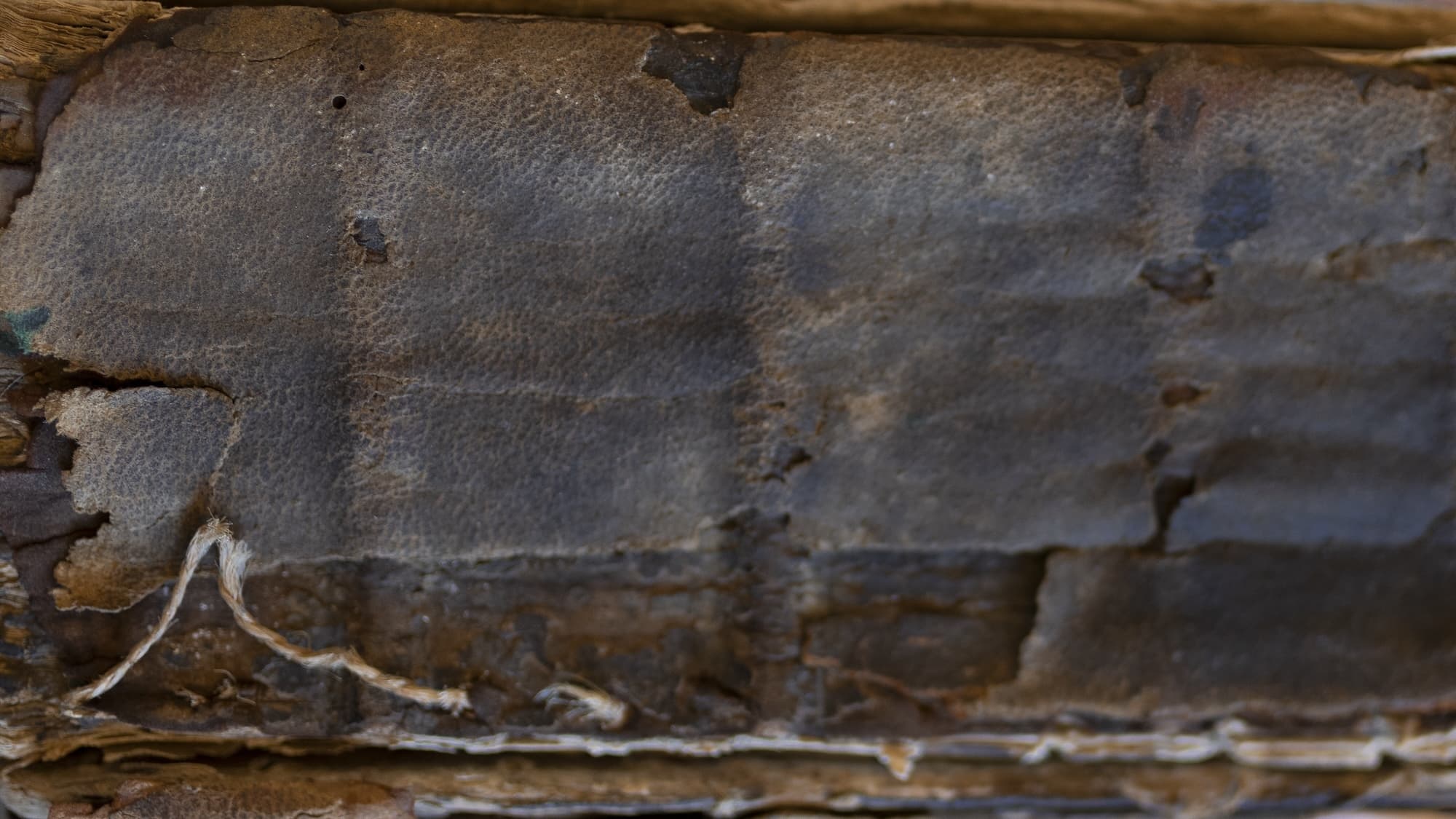 Ripped thread and worn textured leather of the spine of a book.